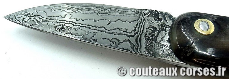 curnicciolu-damas-et-corne-de-belier-padovani-985489