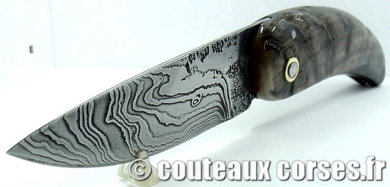 curnicciolu-damas-et-corne-de-belier-padovani-9854-3