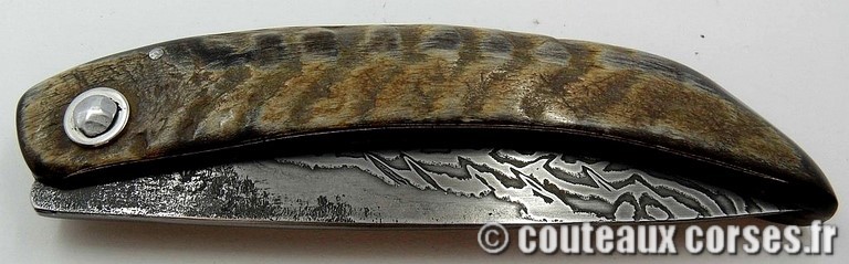 curniccioulu-carbone-et-corne-chevre2-manu-padovani-1