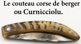Couteau corse de berger curnicciolu