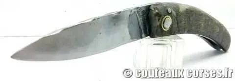 Curnicciolu couteau corse artisanal M Padovani Curnicciolu couteau corse artisanal