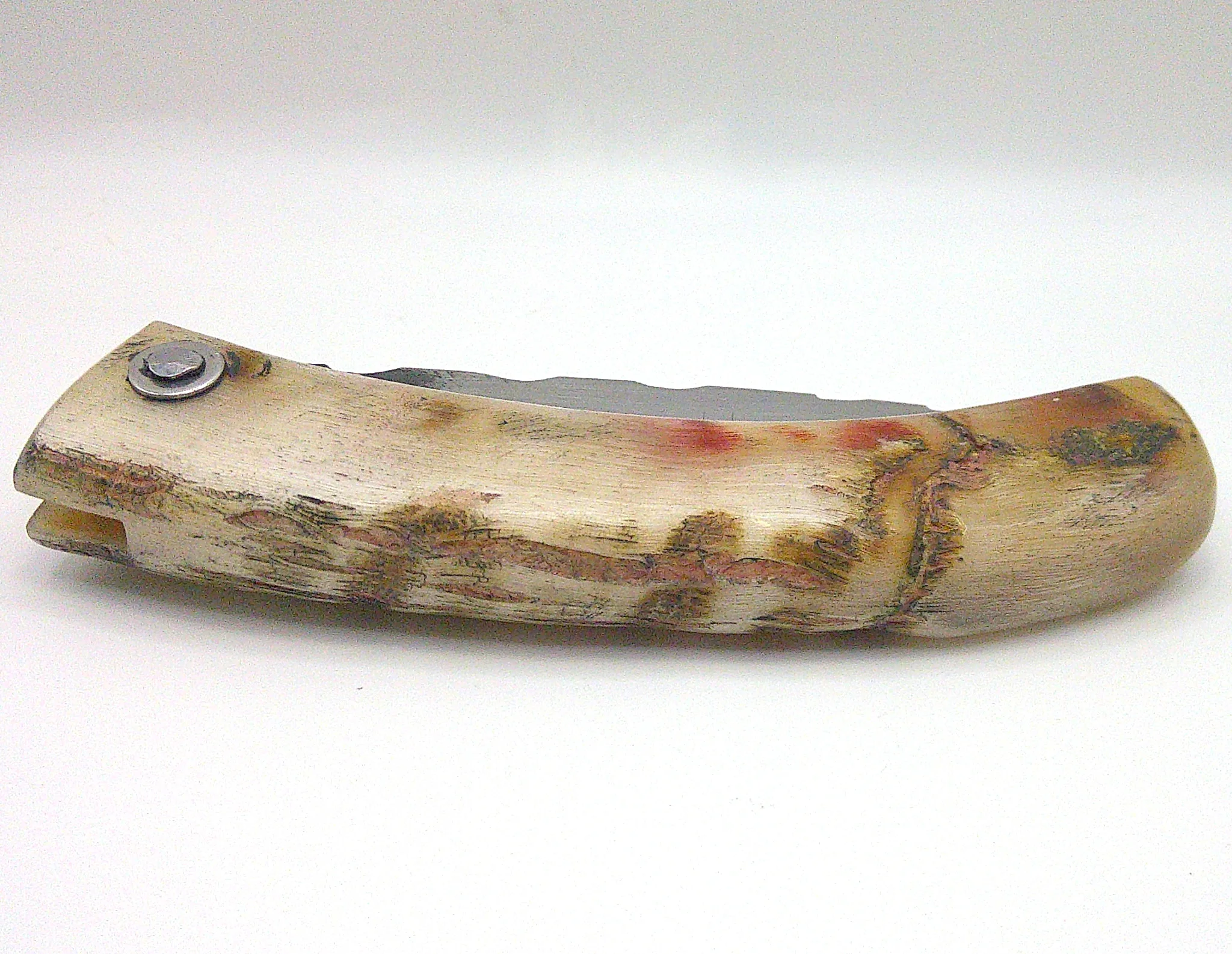 Couteau corse pliant Curnichjiolu Padovani fermé, manche courbé en corne de bélier sanguine aux nuances rouges et naturelles.