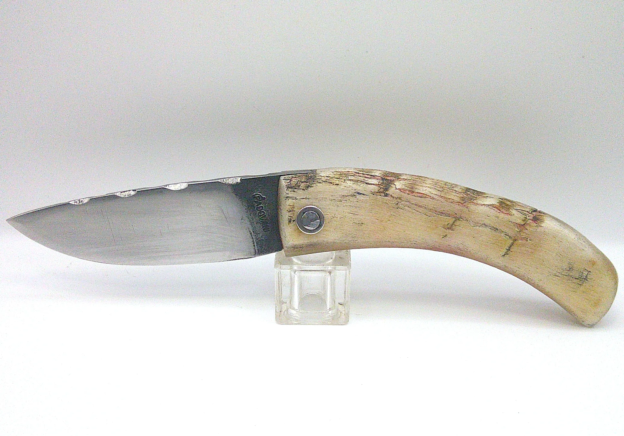 Couteau corse pliant Curnichjiolu Manu Padovani ouvert, profil de la lame XC75 orientée à gauche et manche en corne naturelle de bélier.