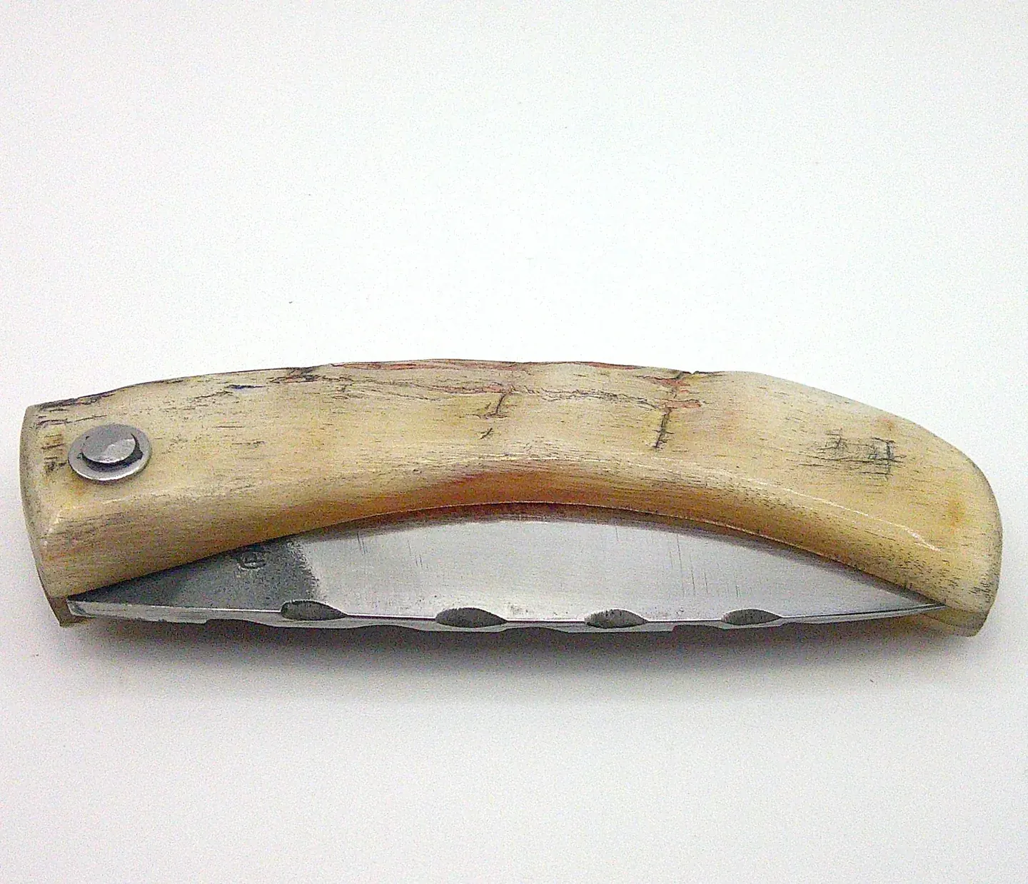 Véritable couteau corse Curnichjiolu Manu Padovani fermé, manche en corne de bélier claire et lame repliée partiellement visible.