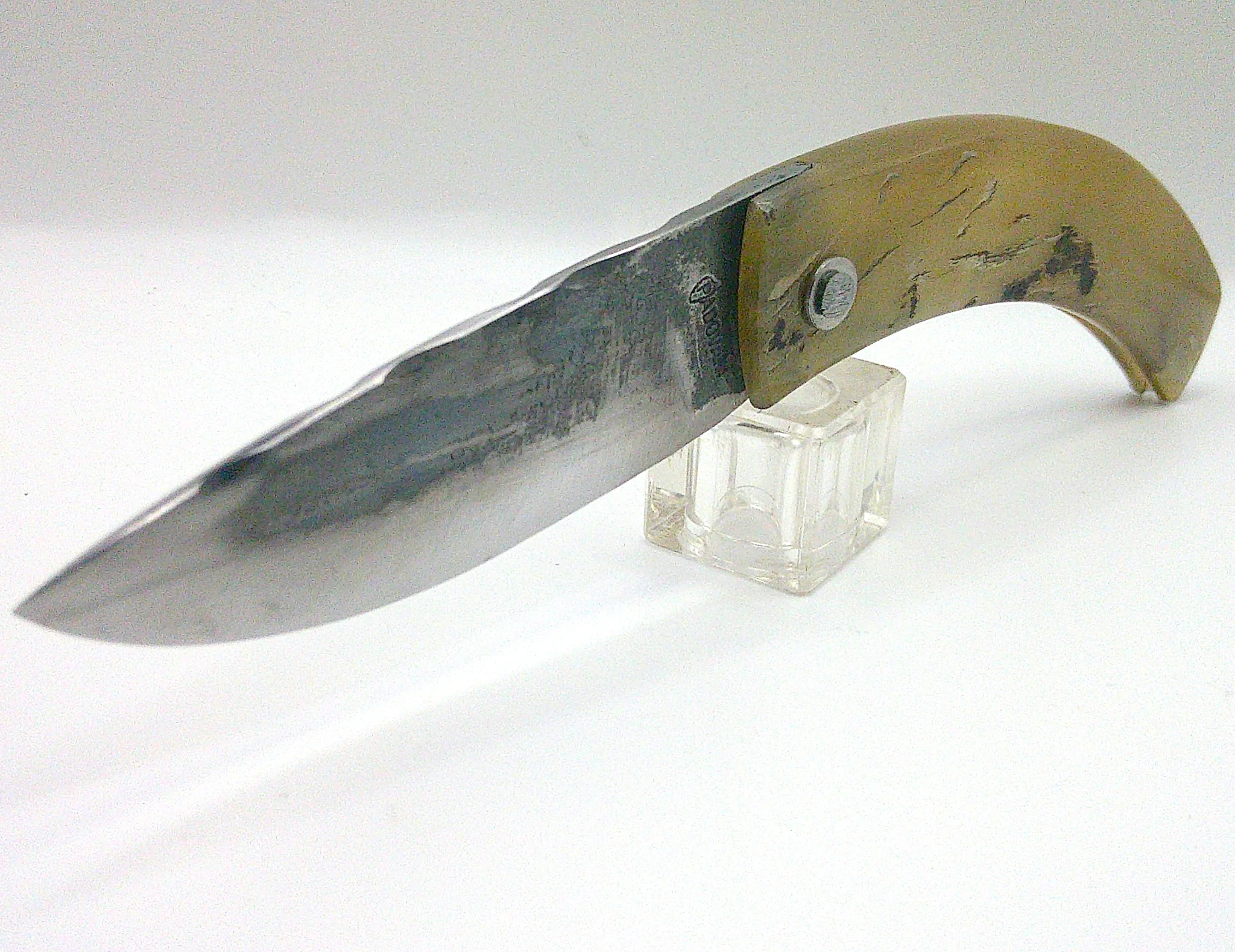 Curnichjiolu Padovani Corsican knife – blond ram’s horn and XC75