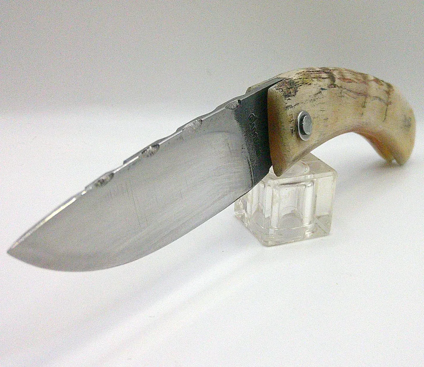 Curnichjiolu Padovani Corsican knife – sanguine ram’s horn and XC75